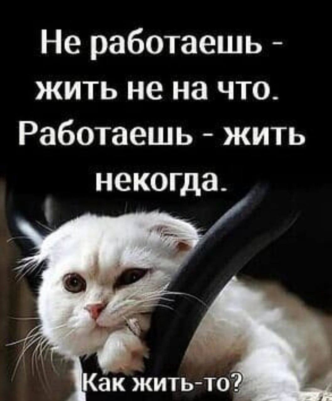 Некогда заняться ремонтом пока есть время друг на друга HD